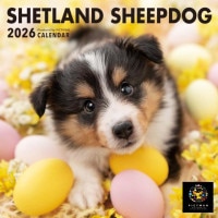 PICTWANカレンダー2026【S判】シェットランド・シープドッグ|2026カレンダー