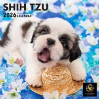 PICTWANカレンダー2026【S判】シー・ズー|2026カレンダー