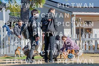 【データ販売】bhf：K012|［イベント］Beagle Houseファミリー会