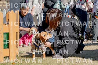 【データ販売】bhf：K076|［イベント］Beagle Houseファミリー会