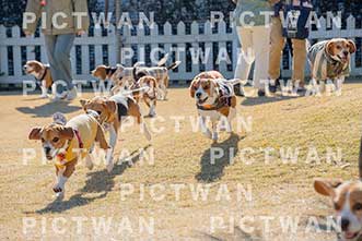 【データ販売】bhf：K087|［イベント］Beagle Houseファミリー会