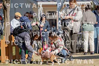 【データ販売】bhf：K097|［イベント］Beagle Houseファミリー会