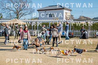 【データ販売】bhf：K108|［イベント］Beagle Houseファミリー会