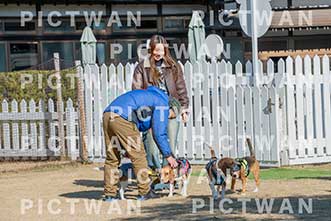 【データ販売】bhf：K109|［イベント］Beagle Houseファミリー会