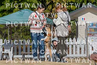 【データ販売】bhf：K137|［イベント］Beagle Houseファミリー会