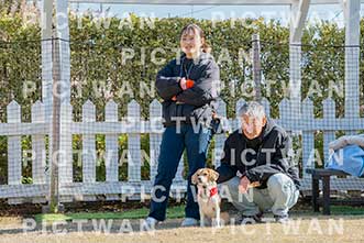 【データ販売】bhf：K141|［イベント］Beagle Houseファミリー会