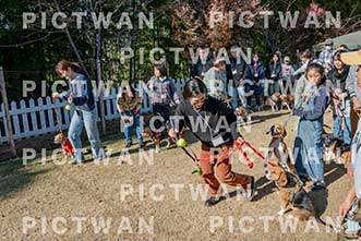 【データ販売】bhf：K177|［イベント］Beagle Houseファミリー会