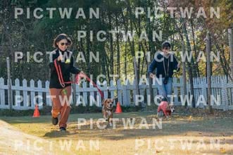 【データ販売】bhf：K179|［イベント］Beagle Houseファミリー会