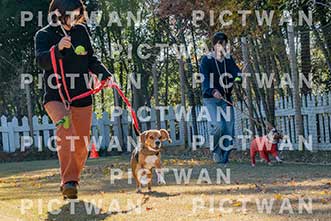 【データ販売】bhf：K180|［イベント］Beagle Houseファミリー会