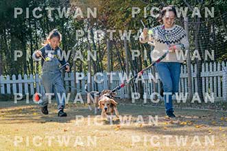 【データ販売】bhf：K184|［イベント］Beagle Houseファミリー会