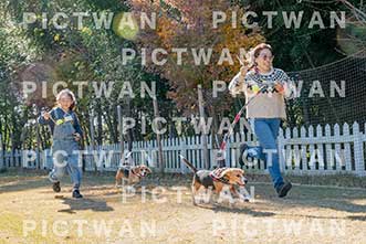 【データ販売】bhf：K185|［イベント］Beagle Houseファミリー会