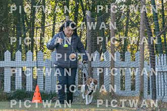 【データ販売】bhf：K190|［イベント］Beagle Houseファミリー会