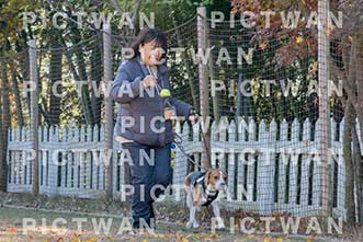 【データ販売】bhf：K192|［イベント］Beagle Houseファミリー会