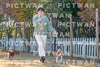 【データ販売】bhf：K196|［イベント］Beagle Houseファミリー会