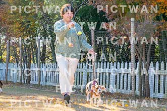 【データ販売】bhf：K197|［イベント］Beagle Houseファミリー会