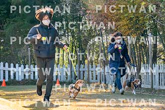 【データ販売】bhf：K205|［イベント］Beagle Houseファミリー会