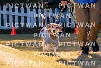 【データ販売】bhf：K224|［イベント］Beagle Houseファミリー会