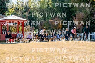 【データ販売】bhf：K231|［イベント］Beagle Houseファミリー会