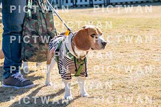 【データ販売】bhf：K237|［イベント］Beagle Houseファミリー会