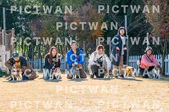 【データ販売】bhf：K254|［イベント］Beagle Houseファミリー会