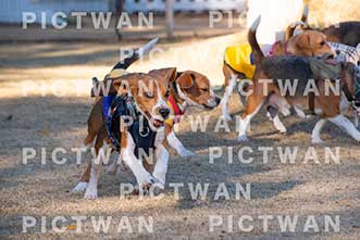 【データ販売】bhf：K281|［イベント］Beagle Houseファミリー会