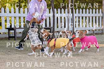 【データ販売】bhf：K311|［イベント］Beagle Houseファミリー会