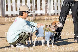 【データ販売】bhf：K345|［イベント］Beagle Houseファミリー会