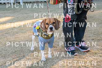 【データ販売】bhf：K359|［イベント］Beagle Houseファミリー会