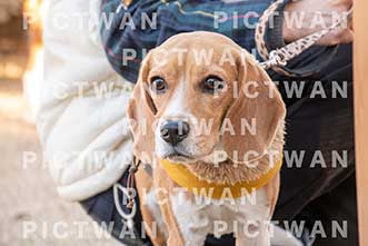 【データ販売】bhf：K386|［イベント］Beagle Houseファミリー会