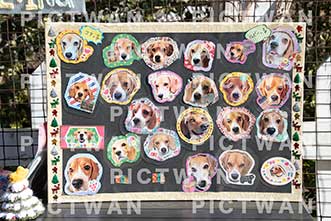 【データ販売】bhf：K402|［イベント］Beagle Houseファミリー会