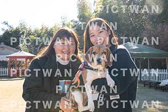 【データ販売】bhf：K436|［イベント］Beagle Houseファミリー会