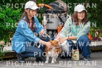 【データ販売】kzf：K015|［イベント］きしざわっこお里帰りinフクロウの森