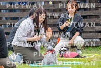 【データ販売】kzf：K290|［イベント］きしざわっこお里帰りinフクロウの森