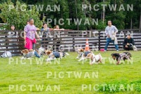 【データ販売】kzf：K504|［イベント］きしざわっこお里帰りinフクロウの森