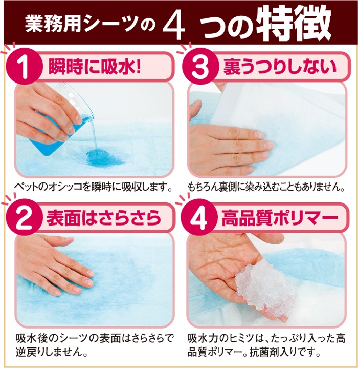  ̳ѥڥåȥ  쥮顼 720̵