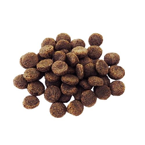 �ץ��ǥ� �ǥ󥿥�Х��� ǭ��