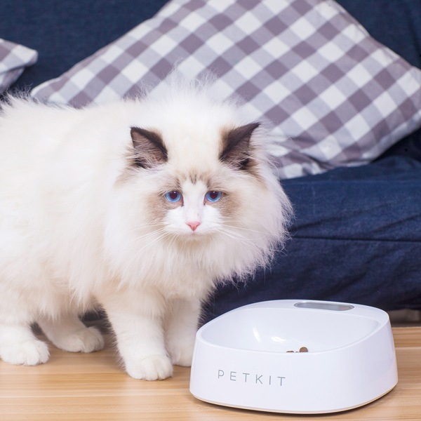 PETKIT �������롦�ե����ǥ��󥰥ܥ��� �� �ۥ磻��