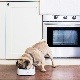 PETKIT �������롦�ե����ǥ��󥰥ܥ��� �� �ۥ磻��