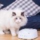 PETKIT �������롦�ե����ǥ��󥰥ܥ��� �� �ۥ磻��