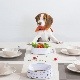 PETKIT �������롦�ե����ǥ��󥰥ܥ��� �� �ۥ磻��