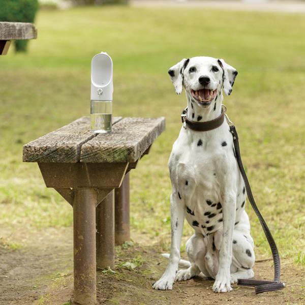 PETKIT ��󥿥å��������������ܥȥ� 300 �Υ֥롼��