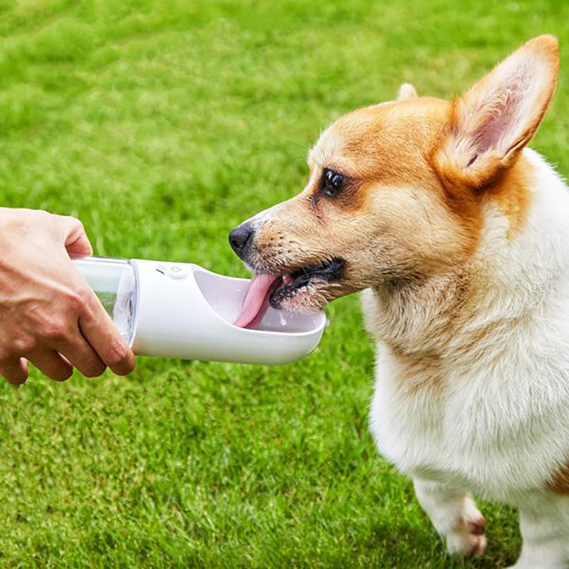 PETKIT ��󥿥å��������������ܥȥ� 300 �Υ֥롼��