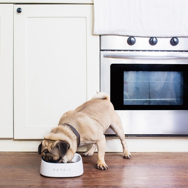 PETKIT �������롦�ե����ǥ��󥰥ܥ��� �� �����ץ���