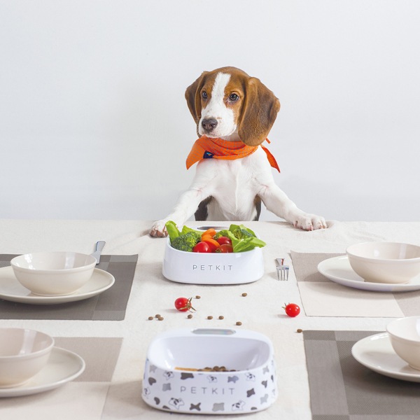 PETKIT �������롦�ե����ǥ��󥰥ܥ��� �� �����ץ���