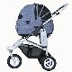 Air Buggy MELANGE DENIM�ʥ��󥸥ǥ˥�� DOME2 SM
