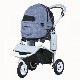 Air Buggy MELANGE DENIM�ʥ��󥸥ǥ˥�� DOME2 SM