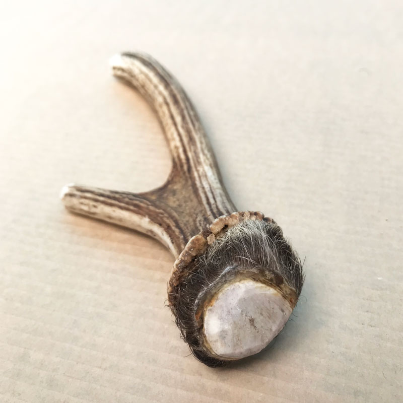 �ٻλ��μ��� 20cm��137g��