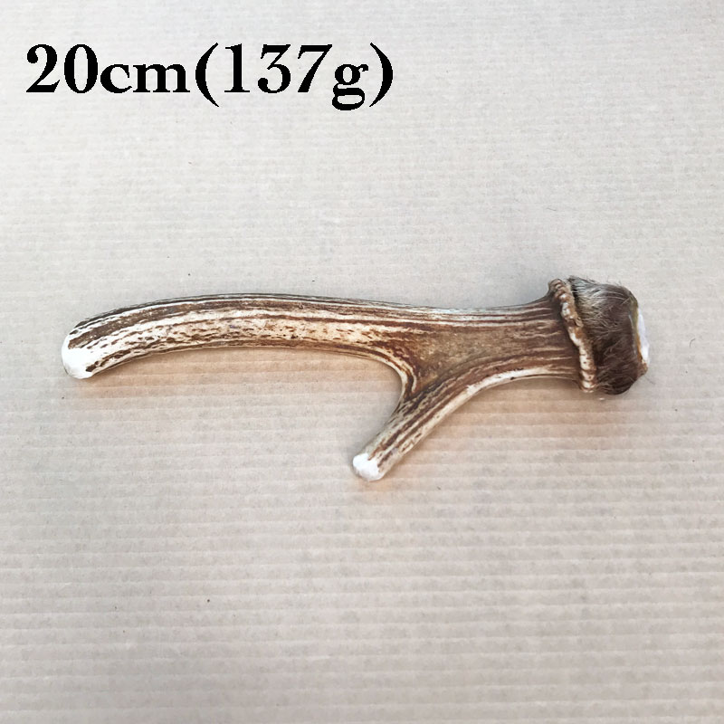 �ٻλ��μ��� 20cm��137g��