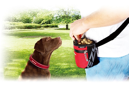 EZYDOG ���ʥå��ѥå�