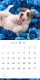 PICTWAN��������2026��LȽ�ۥ���å�����å��롦�ƥꥢ������̵����